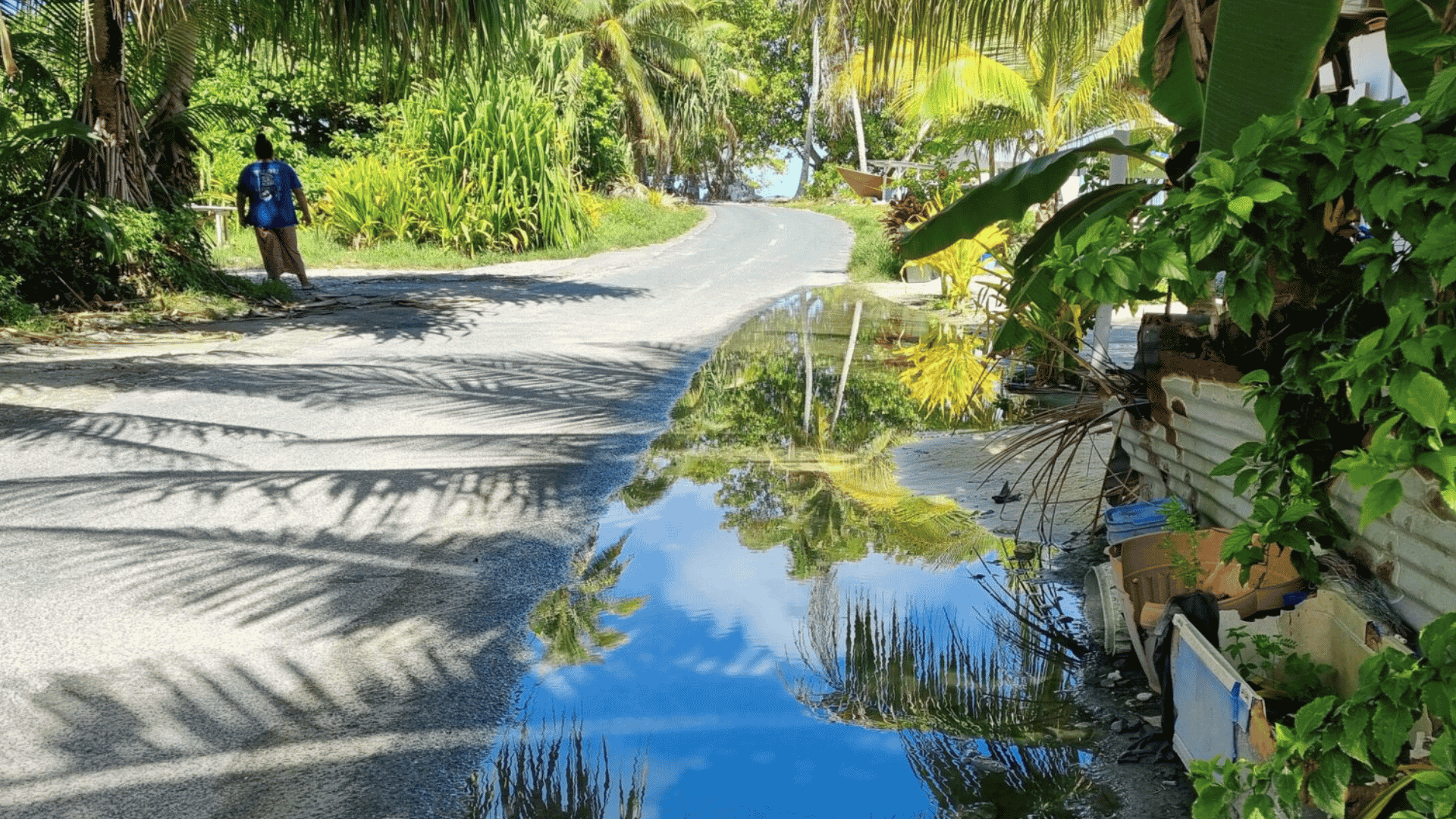 Aotearoa New Zealand: Discriminatory migration system fails climate-affected Pacific People