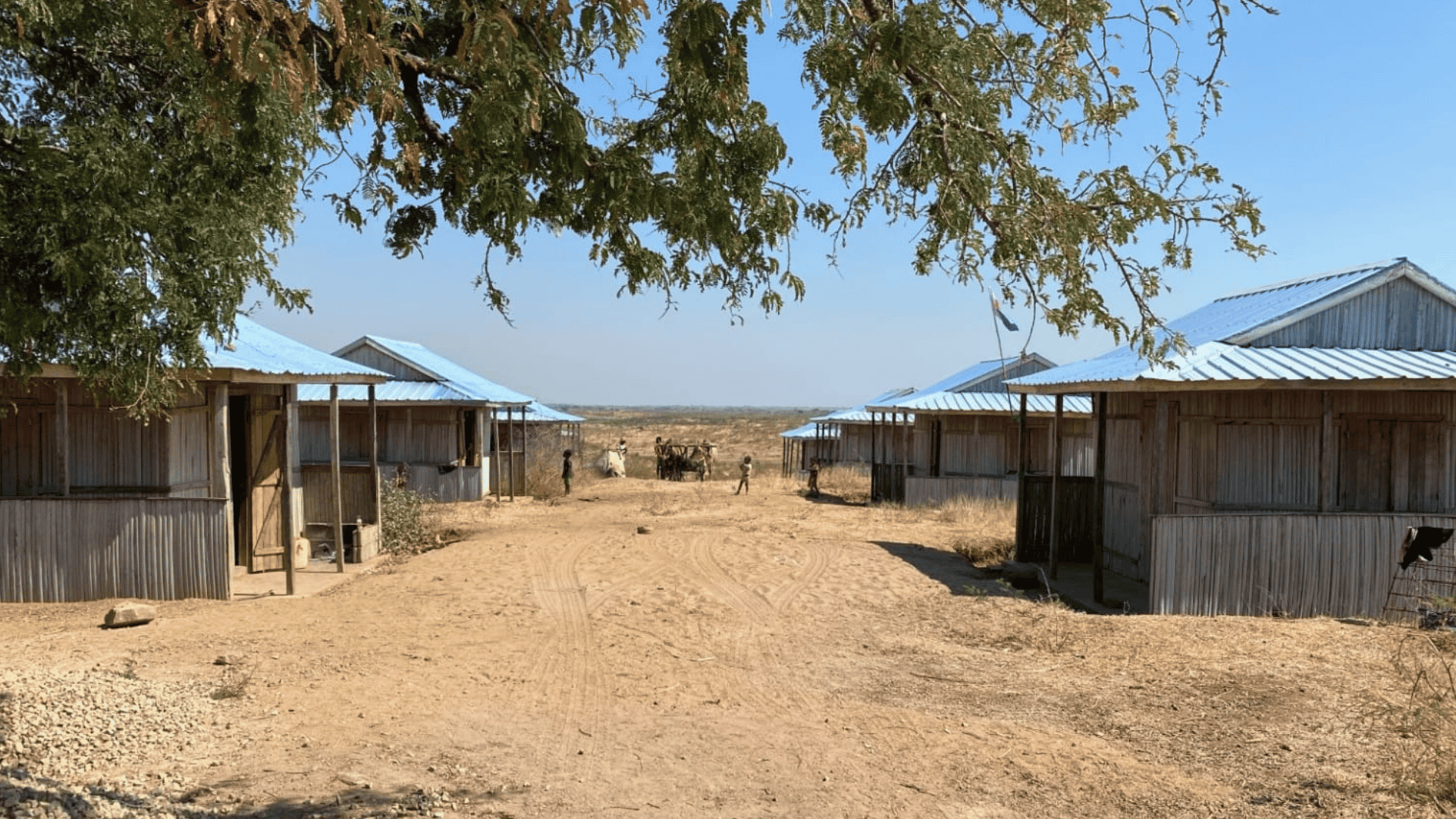 Damisoa: We left our drought-stricken land and found new struggles